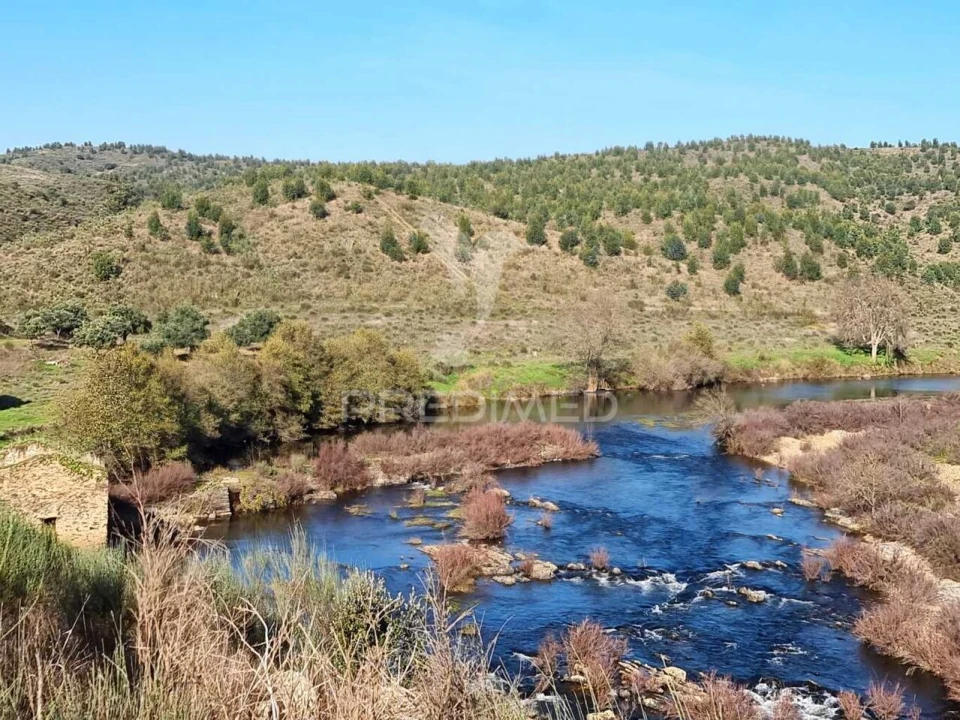 Quinta T0 para Venda em Monfortinho e Salvaterra do Extremo Foto 19