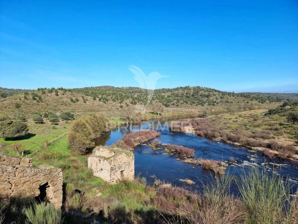 Quinta T0 para Venda em Monfortinho e Salvaterra do Extremo Foto 1