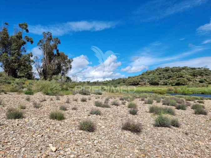 Quinta T0 para Venda em Monfortinho e Salvaterra do Extremo Foto 4