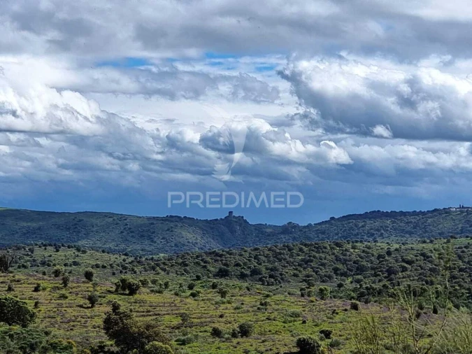 Quinta T0 para Venda em Monfortinho e Salvaterra do Extremo Foto 23