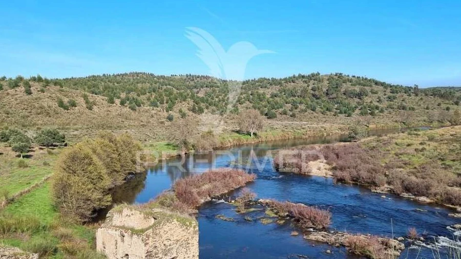 Quinta T0 para Venda em Monfortinho e Salvaterra do Extremo