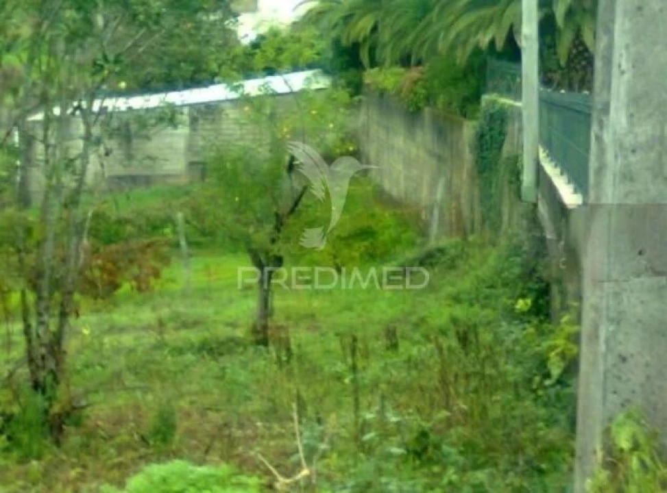 Terreno para Venda em Recardães e Espinhel Foto 2