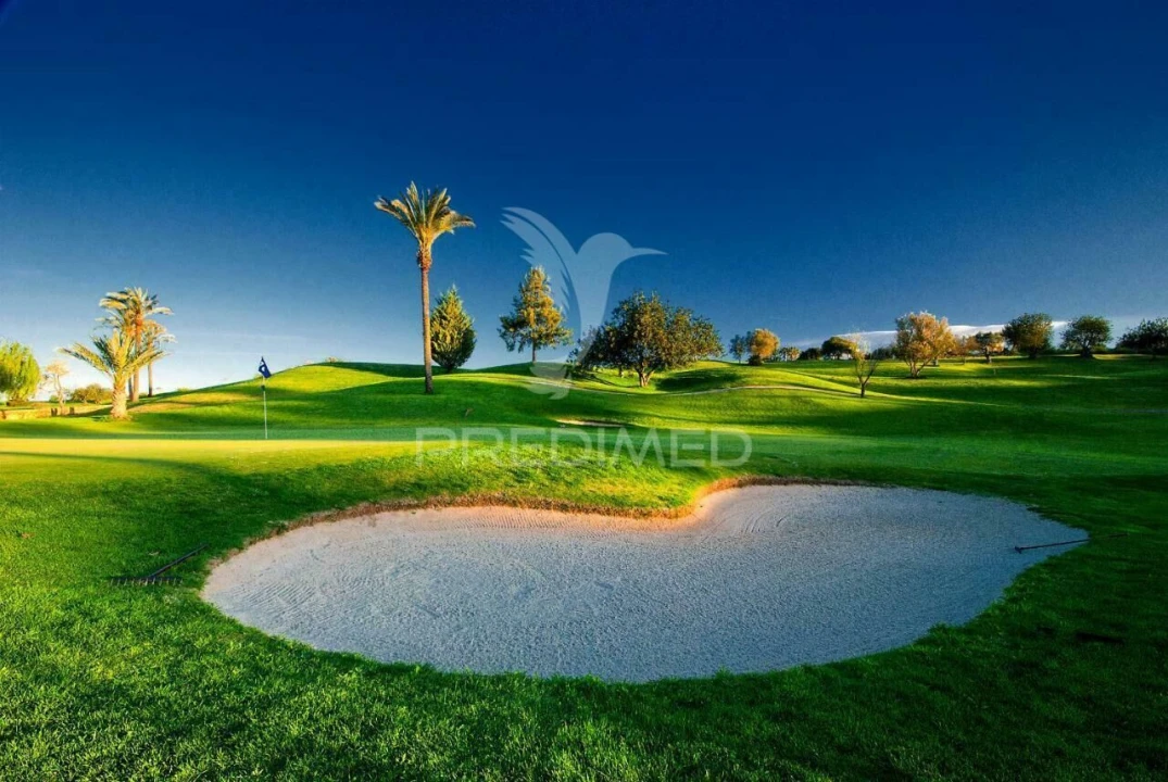 Apartamento T0 para Venda em Estômbar e Parchal Foto 25