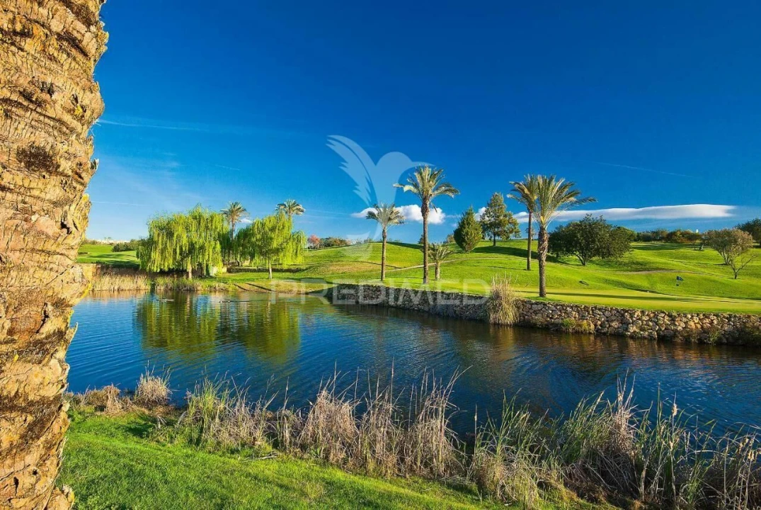 Apartamento T0 para Venda em Estômbar e Parchal Foto 33