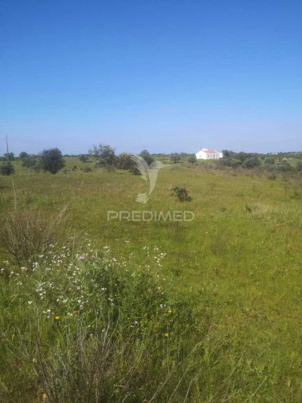 Terreno para Venda em Ferreira do Alentejo e Canhestros Foto 7