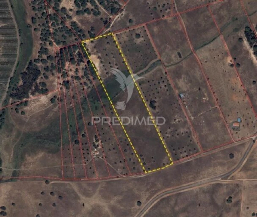 Terreno para Venda em Ferreira do Alentejo e Canhestros Foto 2