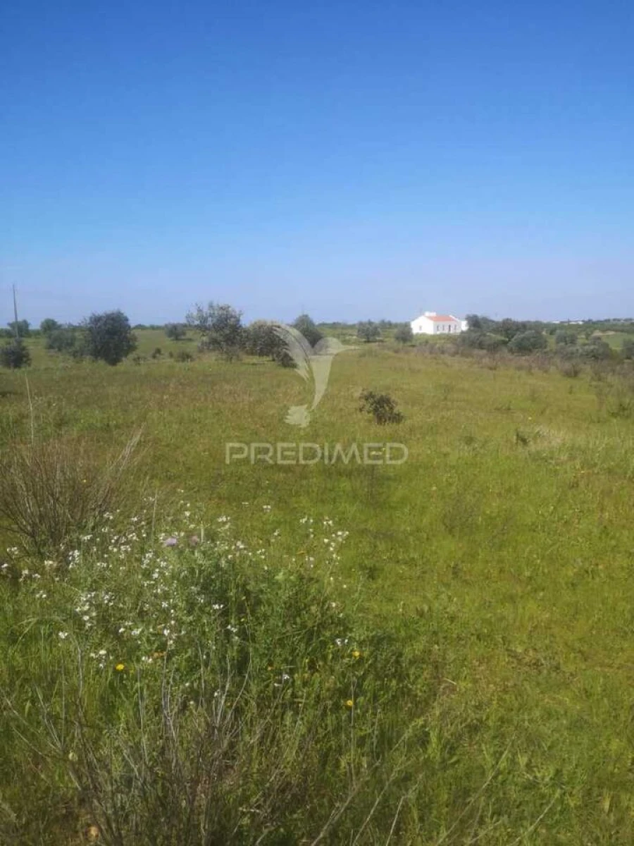 Terreno para Venda em Ferreira do Alentejo e Canhestros Foto 7