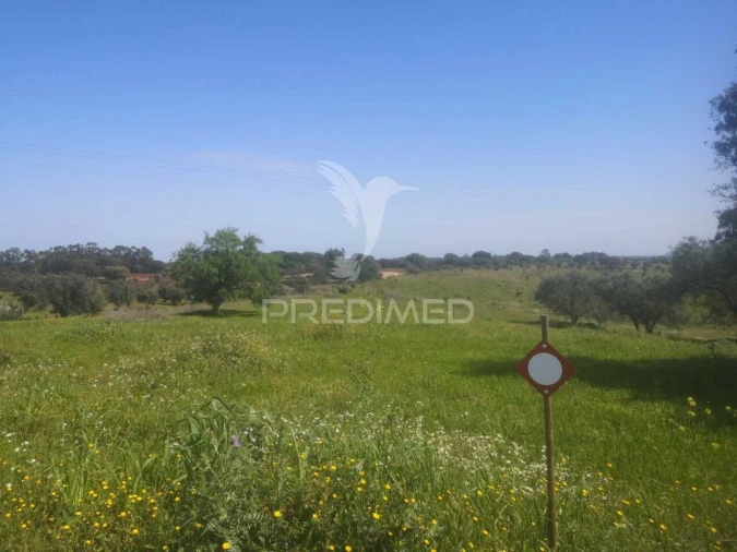 Terreno para Venda em Ferreira do Alentejo e Canhestros Foto 6