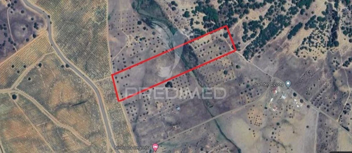 Terreno para Venda em Ferreira do Alentejo e Canhestros Foto 3