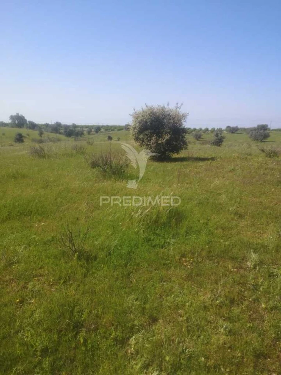 Terreno para Venda em Ferreira do Alentejo e Canhestros Foto 11
