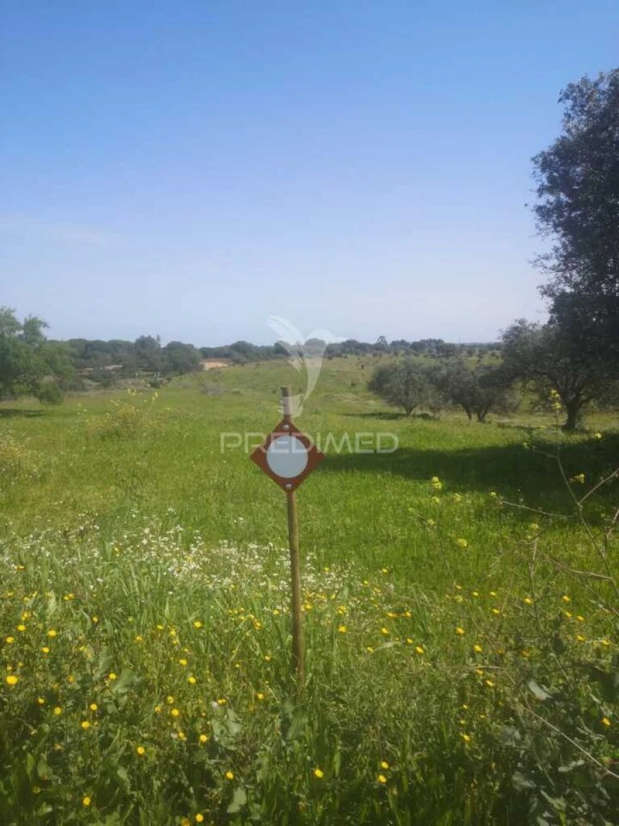 Terreno para Venda em Ferreira do Alentejo e Canhestros Foto 5