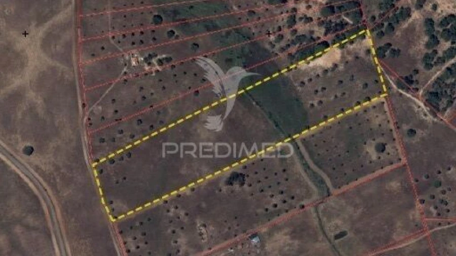 Terreno para Venda em Ferreira do Alentejo e Canhestros