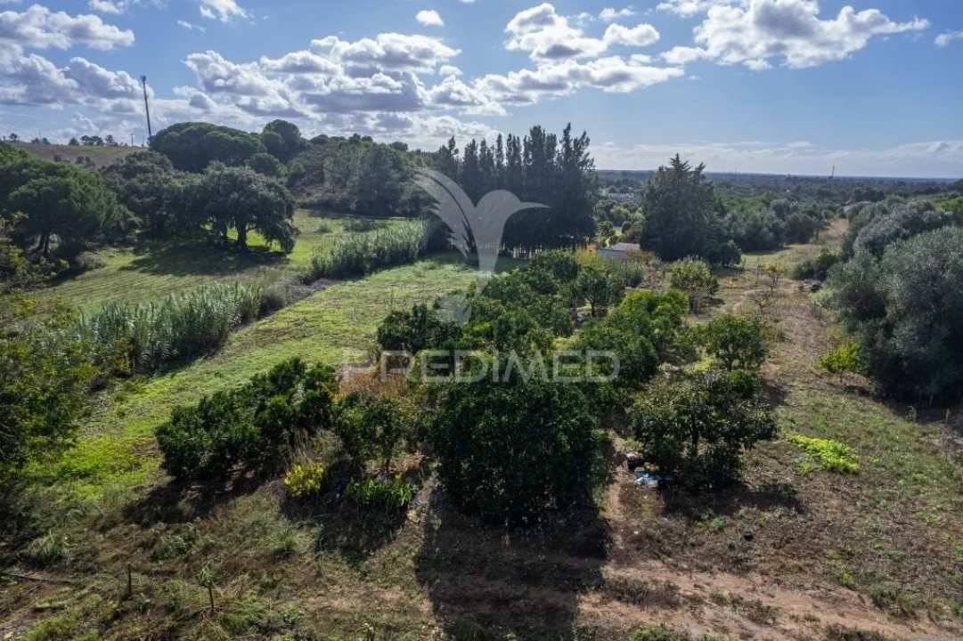 Terreno para Venda em Santiago do Cacém, Santa Cruz e São Bartolomeu da Serra Foto 7