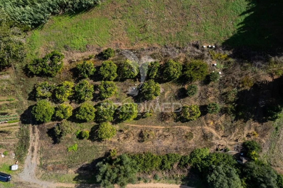 Terreno para Venda em Santiago do Cacém, Santa Cruz e São Bartolomeu da Serra Foto 16