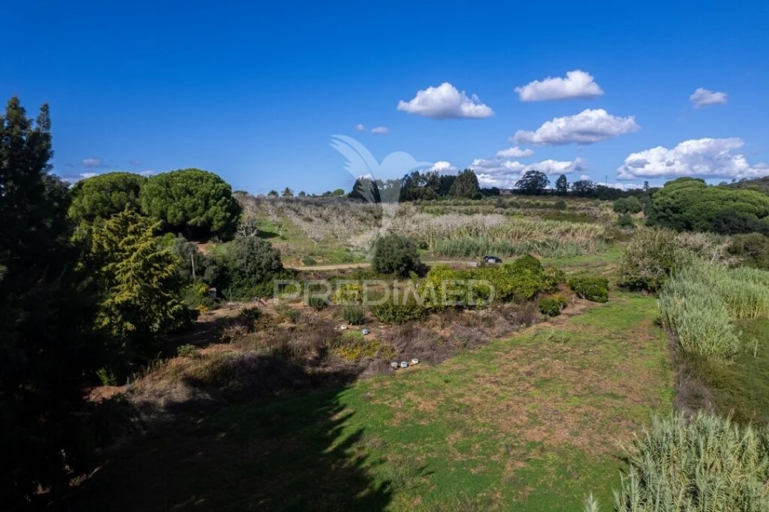 Terreno para Venda em Santiago do Cacém, Santa Cruz e São Bartolomeu da Serra Foto 9