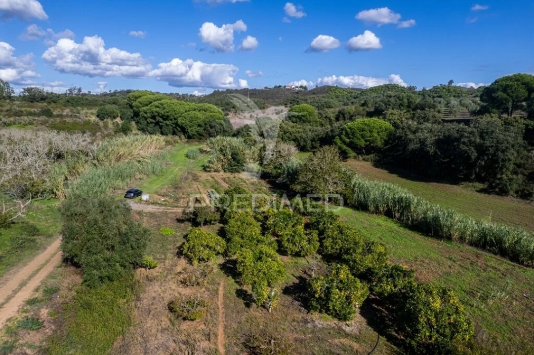 Terreno para Venda em Santiago do Cacém, Santa Cruz e São Bartolomeu da Serra Foto 15