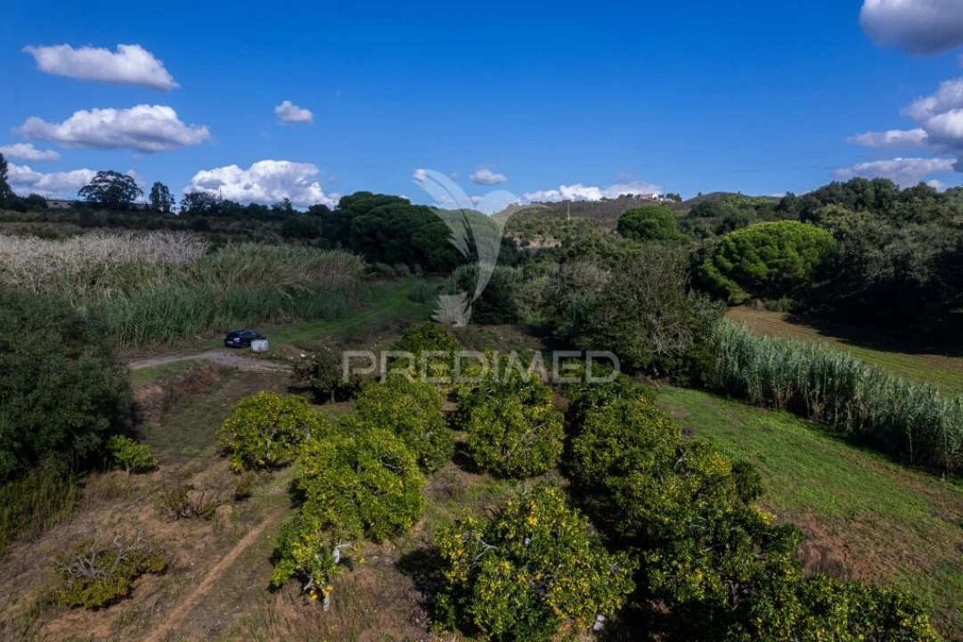 Terreno para Venda em Santiago do Cacém, Santa Cruz e São Bartolomeu da Serra Foto 11