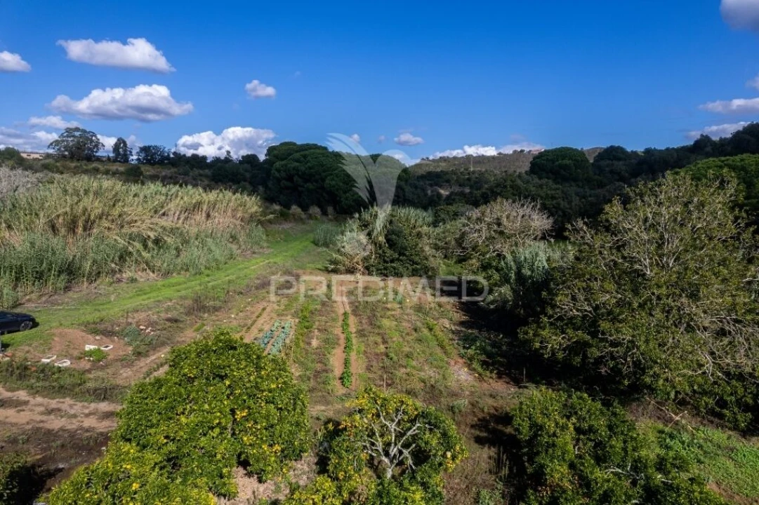 Terreno para Venda em Santiago do Cacém, Santa Cruz e São Bartolomeu da Serra Foto 12