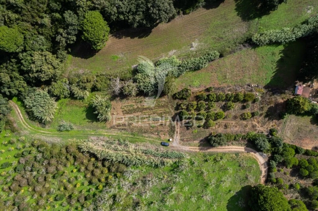 Terreno para Venda em Santiago do Cacém, Santa Cruz e São Bartolomeu da Serra Foto 3