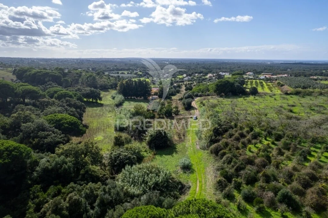 Terreno para Venda em Santiago do Cacém, Santa Cruz e São Bartolomeu da Serra Foto 5