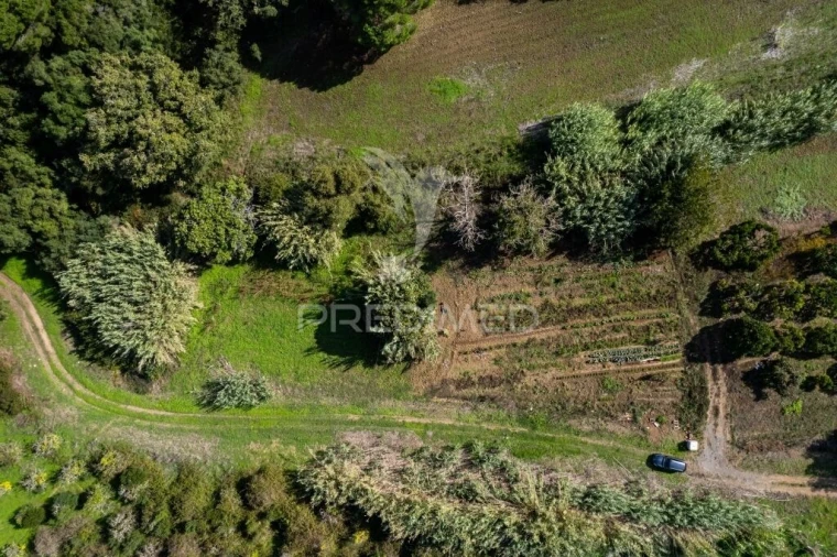 Terreno para Venda em Santiago do Cacém, Santa Cruz e São Bartolomeu da Serra