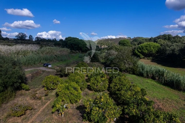Terreno para Venda em Santiago do Cacém, Santa Cruz e São Bartolomeu da Serra Foto 11