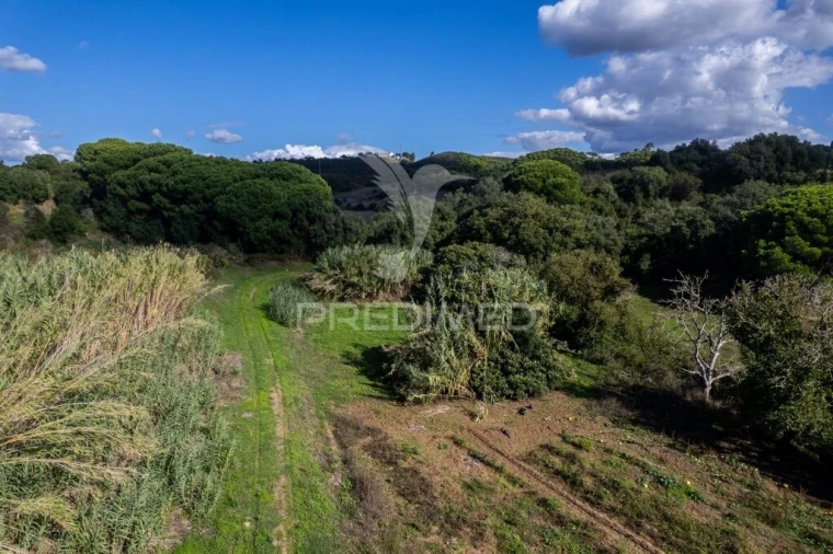 Terreno para Venda em Santiago do Cacém, Santa Cruz e São Bartolomeu da Serra Foto 13