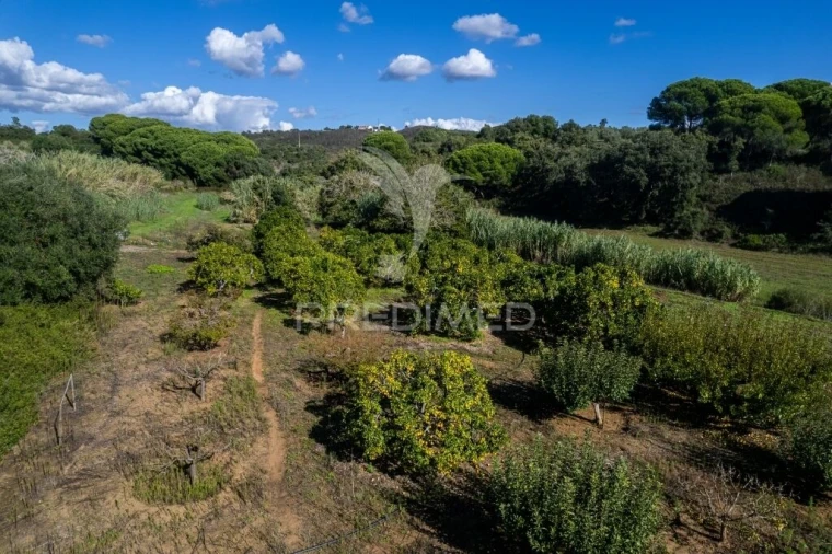 Terreno para Venda em Santiago do Cacém, Santa Cruz e São Bartolomeu da Serra Foto 14