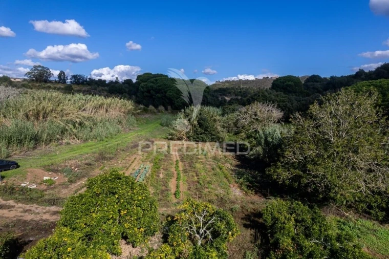 Terreno para Venda em Santiago do Cacém, Santa Cruz e São Bartolomeu da Serra Foto 12