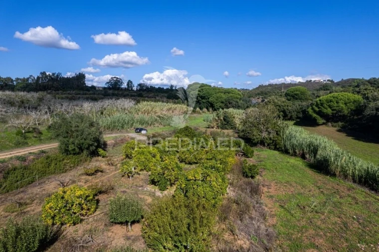 Terreno para Venda em Santiago do Cacém, Santa Cruz e São Bartolomeu da Serra Foto 10