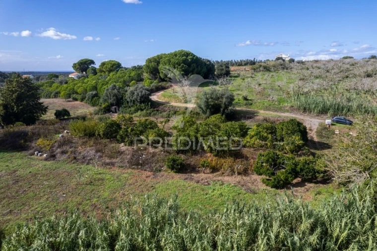 Terreno para Venda em Santiago do Cacém, Santa Cruz e São Bartolomeu da Serra Foto 8
