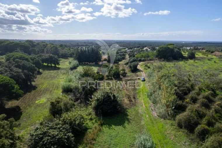 Terreno para Venda em Santiago do Cacém, Santa Cruz e São Bartolomeu da Serra Foto 6