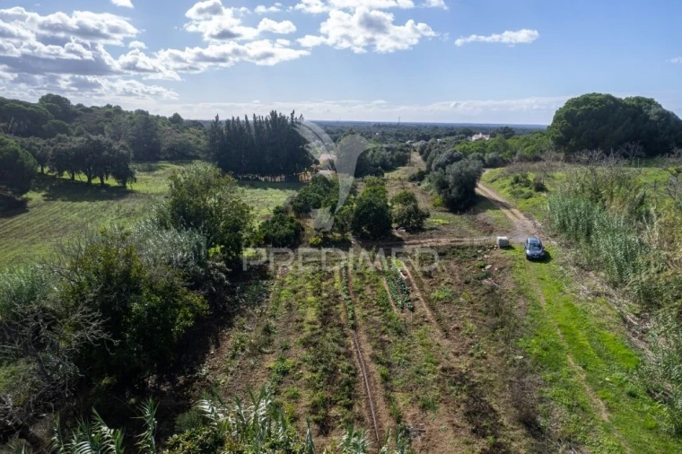 Terreno para Venda em Santiago do Cacém, Santa Cruz e São Bartolomeu da Serra Foto 4