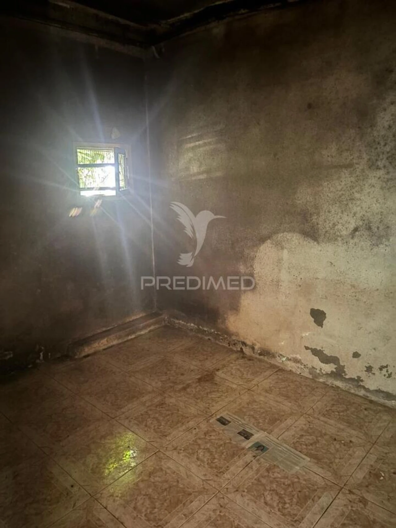 Moradia T2 para Venda em Amarante (São Gonçalo), Madalena, Cepelos e Gatão Foto 9