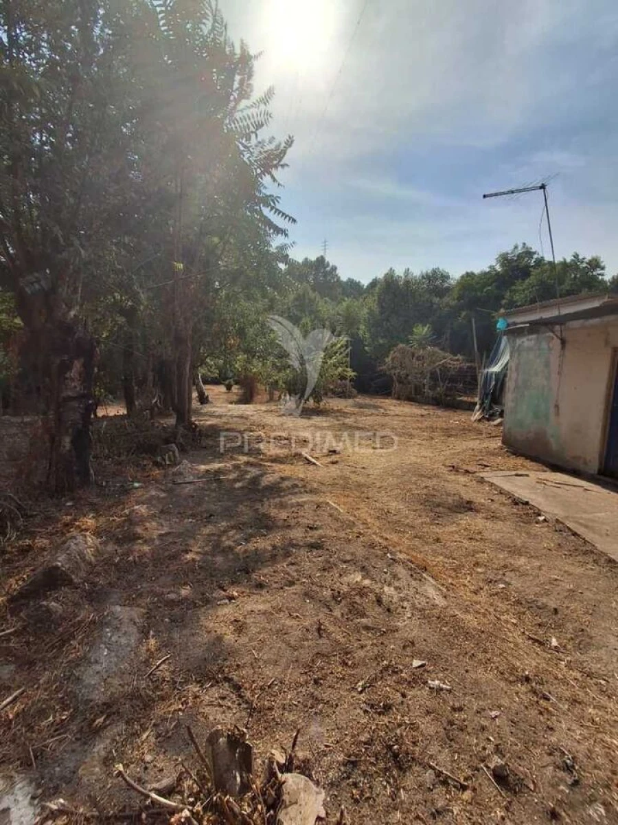 Moradia T2 para Venda em Amarante (São Gonçalo), Madalena, Cepelos e Gatão Foto 17