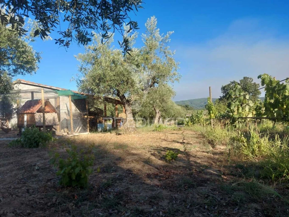 Quinta T0 para Venda em Fundão, Valverde, Donas, A. Joanes, A. Nova Cabo Foto 2
