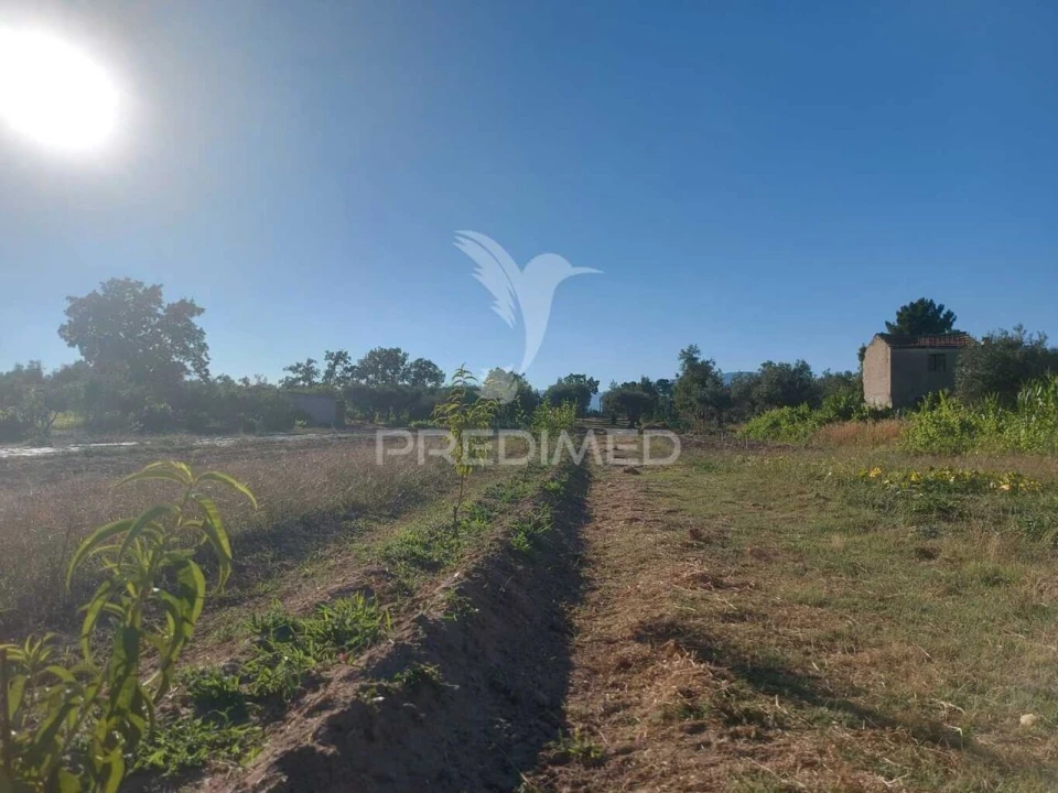 Quinta T0 para Venda em Fundão, Valverde, Donas, A. Joanes, A. Nova Cabo Foto 10