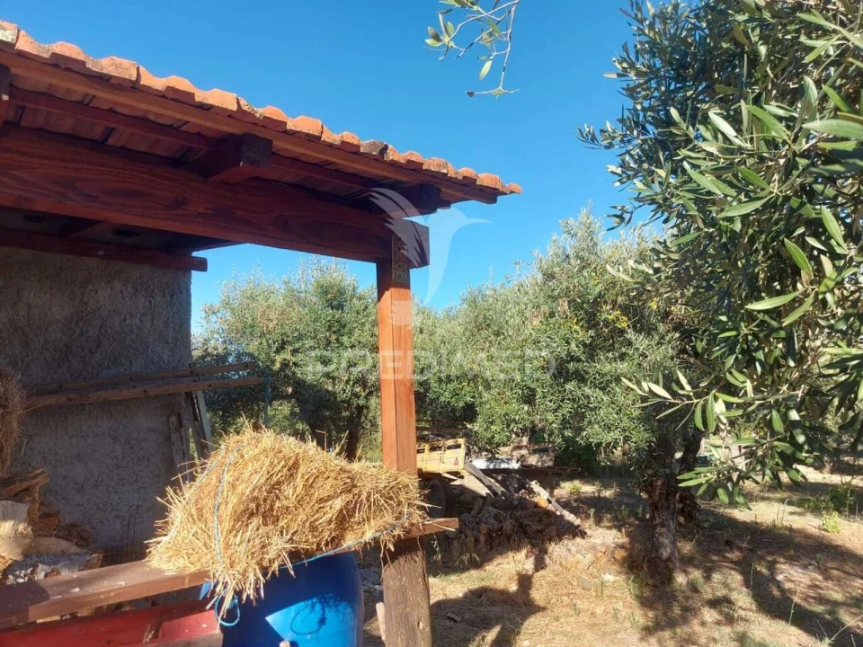 Quinta T0 para Venda em Fundão, Valverde, Donas, A. Joanes, A. Nova Cabo Foto 4