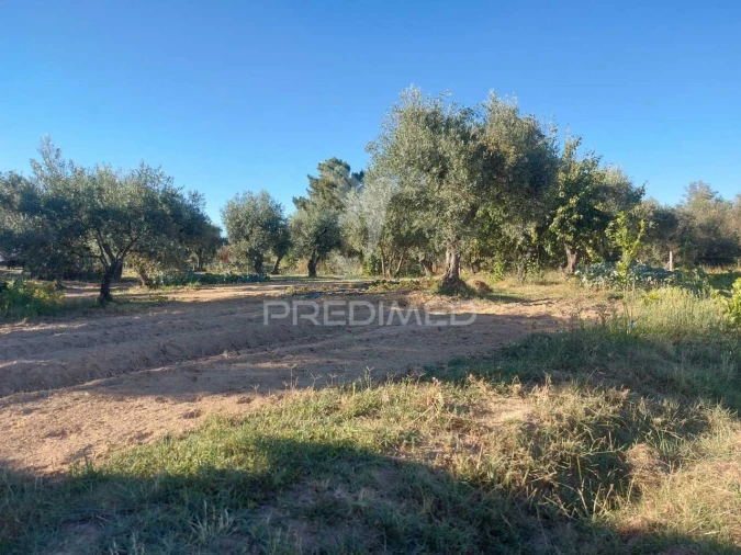 Quinta T0 para Venda em Fundão, Valverde, Donas, A. Joanes, A. Nova Cabo Foto 6