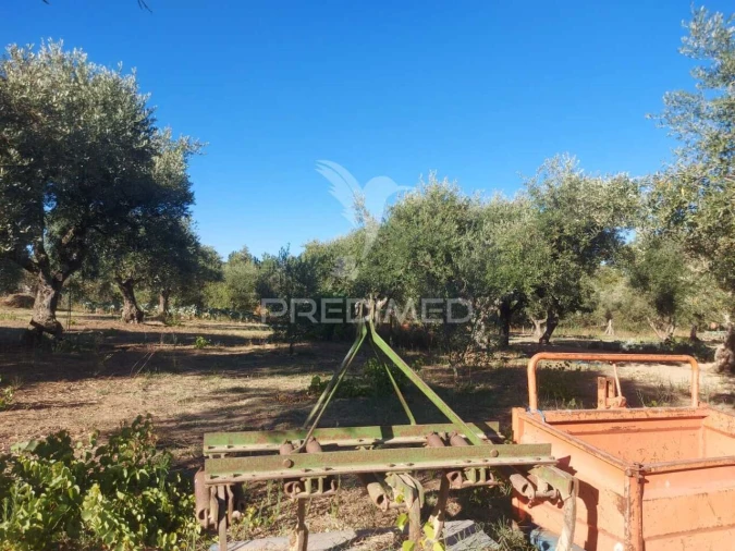 Quinta T0 para Venda em Fundão, Valverde, Donas, A. Joanes, A. Nova Cabo Foto 5