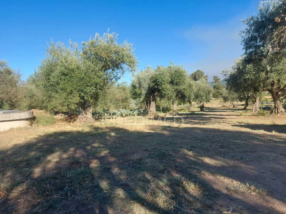 Quinta T0 para Venda em Fundão, Valverde, Donas, A. Joanes, A. Nova Cabo Foto 3