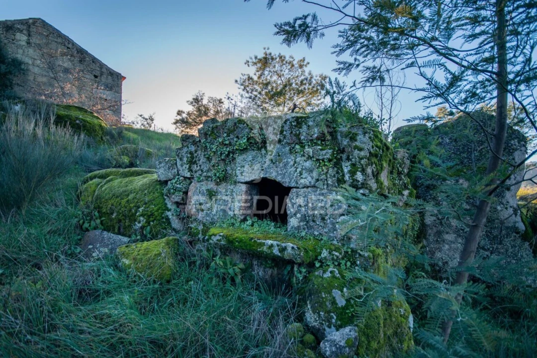 Quinta T0 para Venda em Belmonte e Colmeal da Torre Foto 13