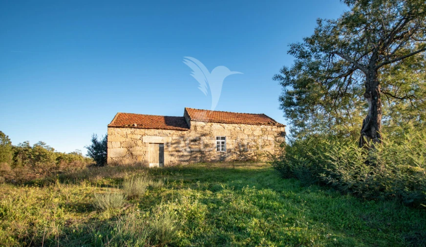 Quinta T0 para Venda em Belmonte e Colmeal da Torre Foto 11