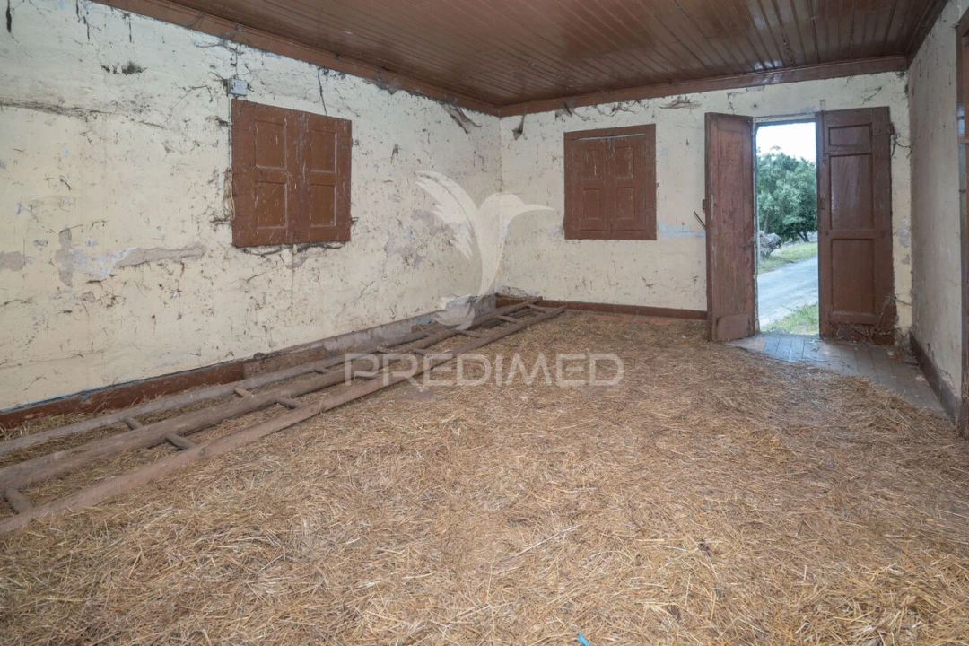 Moradia T3 para Venda em Airão Santa Maria, Airão São João e Vermil Foto 27