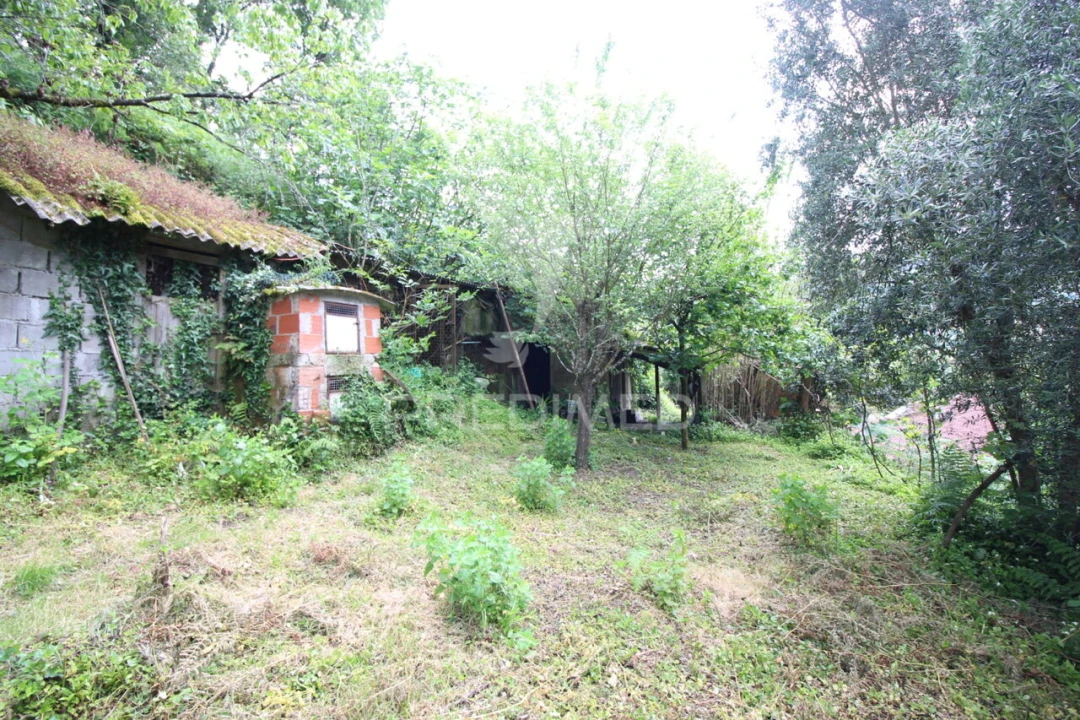 Moradia T2 para Venda em Ventosa e Cova Foto 17