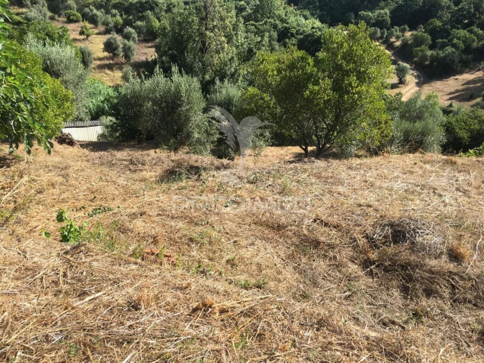 Moradia T6 para Venda em Casais e Alviobeira Foto 7