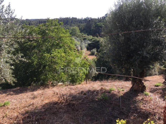 Moradia T6 para Venda em Casais e Alviobeira Foto 8