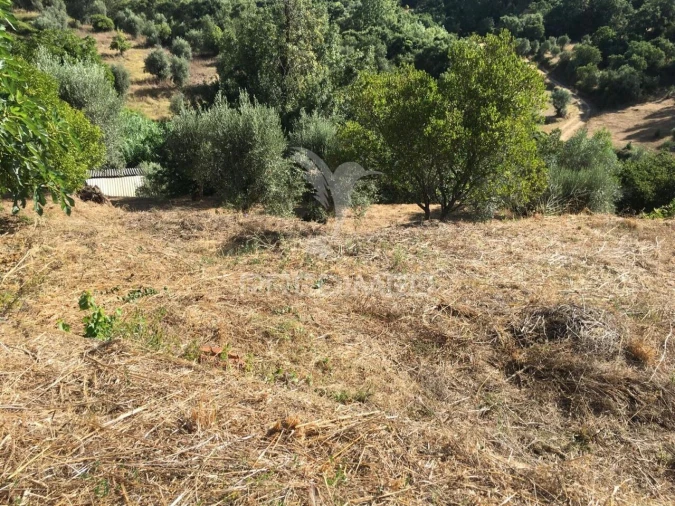 Moradia T6 para Venda em Casais e Alviobeira Foto 7