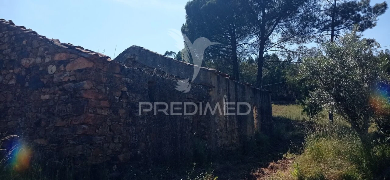 Moradia T2 para Venda em Mação, Penhascoso e Aboboreira Foto 10