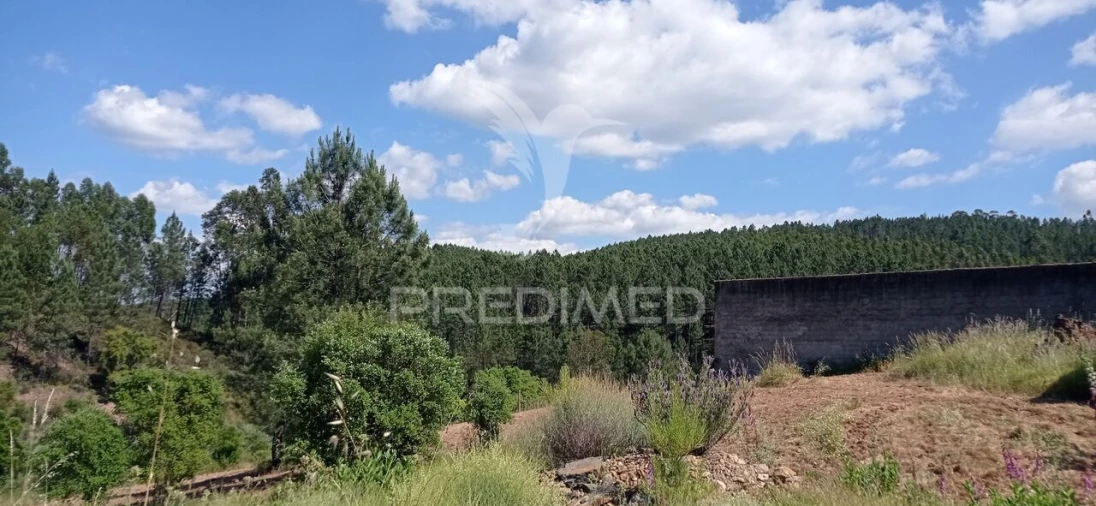 Moradia T2 para Venda em Mação, Penhascoso e Aboboreira Foto 6